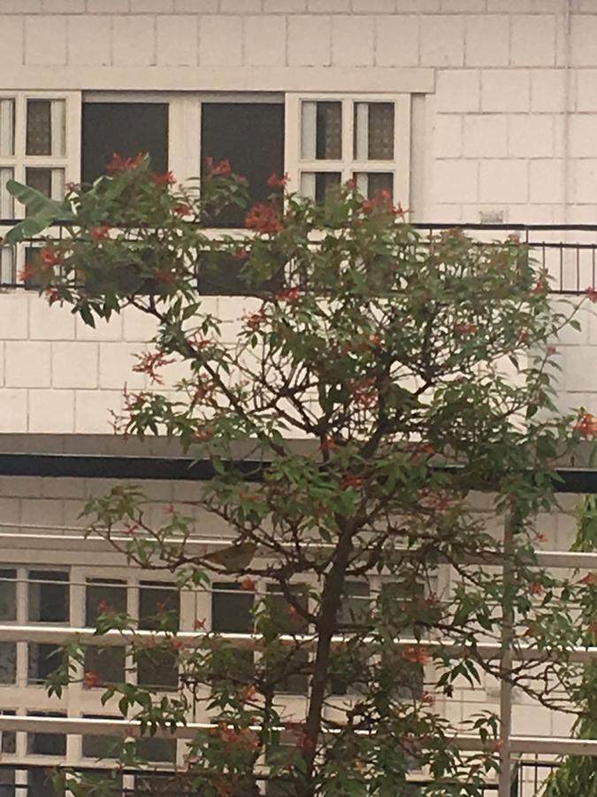 Bed and Breakfast The Neem Nueva Delhi Exterior foto